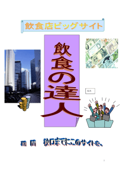 業界におけるインターネットの活用 PDF