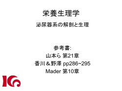 栄養生理学