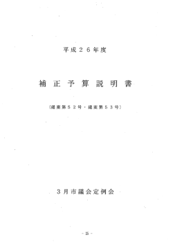 補 正 予 算 説 明 書