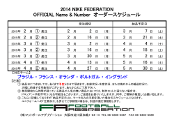 2014 NIKE FEDERATION OFFICIAL Name & Number オーダー