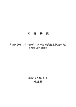 公 募 要 領 平成 27 年 3 月 沖縄県