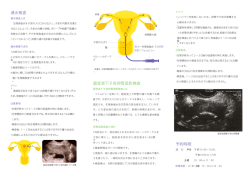 通水検査 超音波下子宮卵管造影検査 予約時間