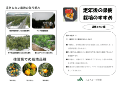 定年後の果樹 栽培のすすめ
