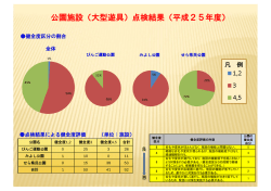 公園施設（大型遊具）点検結果（平成25年度）