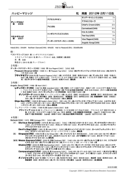 ブラックタイプを見る（PDF）