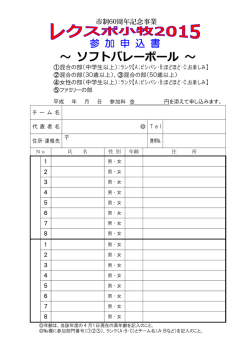 ～ ソフトバレーボール ～