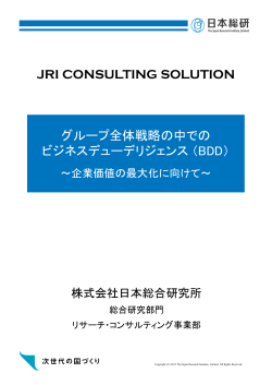 グループ全体戦略の中での ビジネスデューデリジェンス（BDD