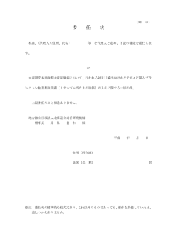委任状（例示様式） （PDF：63.0KB）
