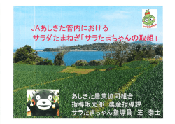 JAあしきた管内におけるサラダたまねぎ「サラたまちゃんのとりくみ」