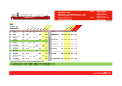 SEVEN SEAS SHIPPING CO., LTD. インドサービス ASIP Service