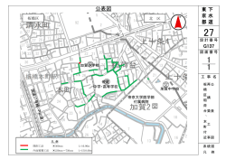 公表図