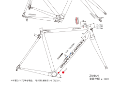 ZANIAH 塗装仕様 Z-1301