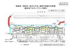 福島第一港湾内、放水口付近、護岸の詳細分析結果 （護岸