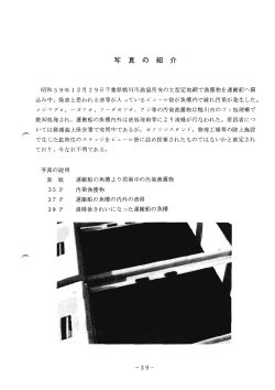 写 真 の 紹 介