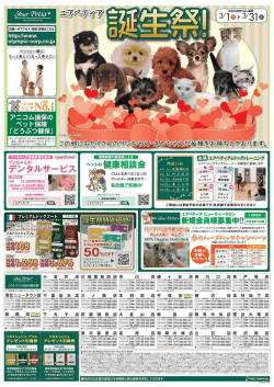 フル ページ FAX プリント