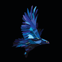 Headphone NightHawk