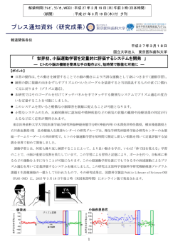 世界初、小脳運動学習を定量的に評価するシステム