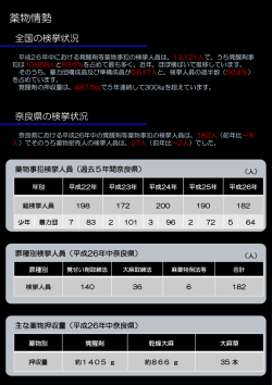 薬物情勢 (ファイル名：yakubutujyousei サイズ：56.81