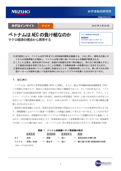 ベトナムはAEC の負け組なのか