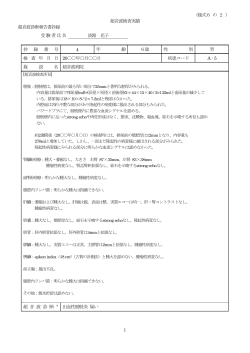 記入例4 - 日本超音波医学会