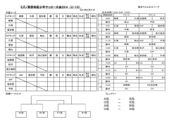 ミズノ東部地区少年サッカー大会2014 （U-10) A2位 ― B2位 C2位