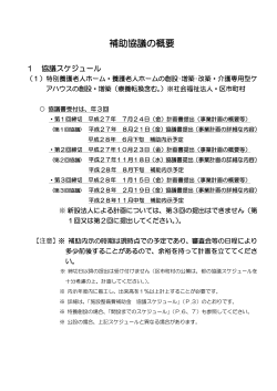 補助協議の概要（PDF：569KB）