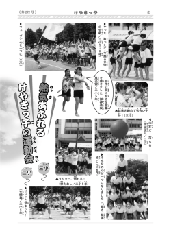三小 二小 三小 二小 九中