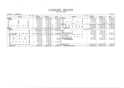 社会福祉事業 貸借対照表