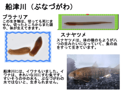 船津川