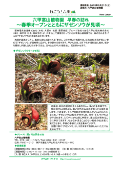 ～春季オープンとともにザゼンソウが見頃～