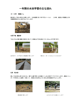 一年間の水田学習の主な流れ