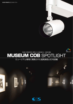 MUSEUM COB SPOTLIGHT