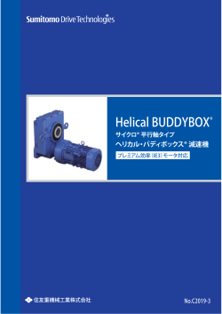 Helical BUDDYBOX