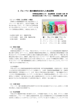 ブルーベリー葉の機能性を活かした商品開発 【PDF：459KB】
