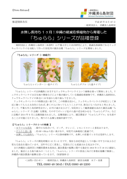 沖縄の絶滅危惧植物から育種した「ちゅらら」シリーズが品種登録