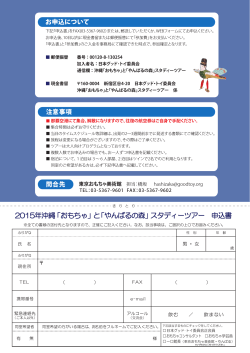 2015年沖縄「おもちゃ」と「やんばるの森」スタディーツアー 申込書