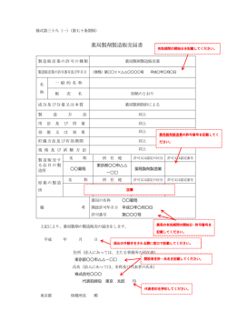記載例（PDF：154KB）