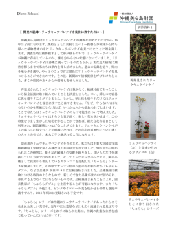 別添資料1 - 一般財団法人 沖縄美ら島財団