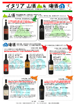 モンテティ カブルニオ 2009 フェウド マッカリ フェウド