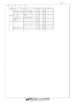 Page( 1 )