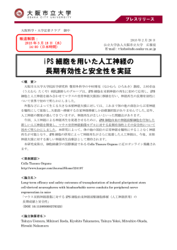 iPS 細胞を用いた人工神経の 長期有効性と安全性を実証