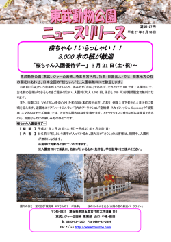 桜ちゃん！いらっしゃい！！ 3,000 本の桜が歓迎