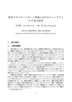 核内クロマチンパターン形成におけるフェーズフィルド法の応用
