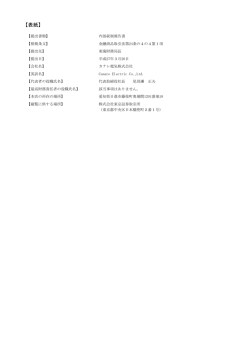 内部統制報告書