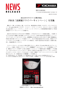 PDF版（305KB）