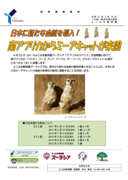 南アフリカからミーアキャットが来園