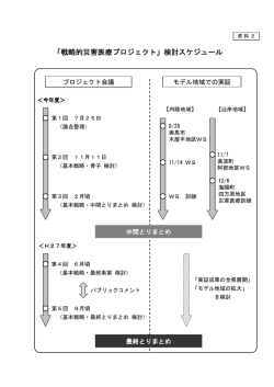 資料2（検討スケジュール）.
