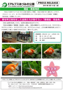 『春爛漫・桜金魚』（PDF）