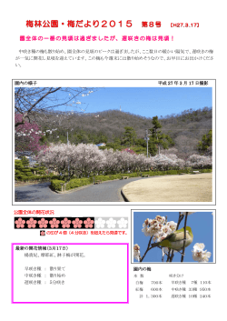 園内の梅 最新の開花情報（3月17日） 楊貴妃、摩耶紅、淋子梅が開花