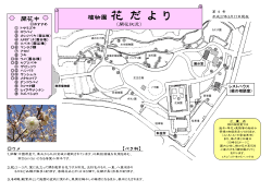 植物園 花 だ よ り